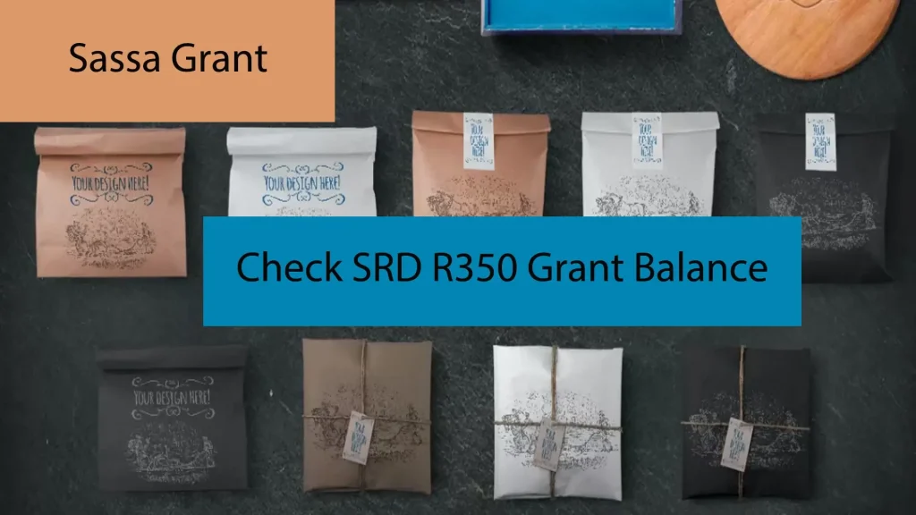 How to check your SASSA SRD r350 grant balance