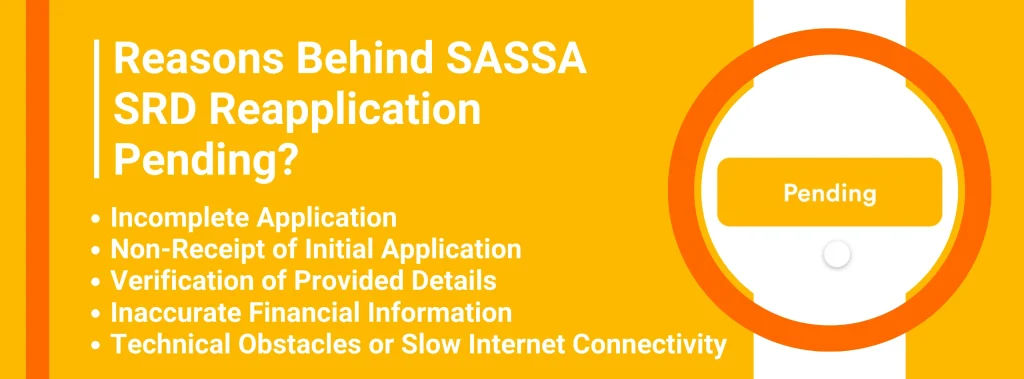 Reasons Why Your Sassa SRD 350 Grant Application Status is showing 'Reapplication Pending'