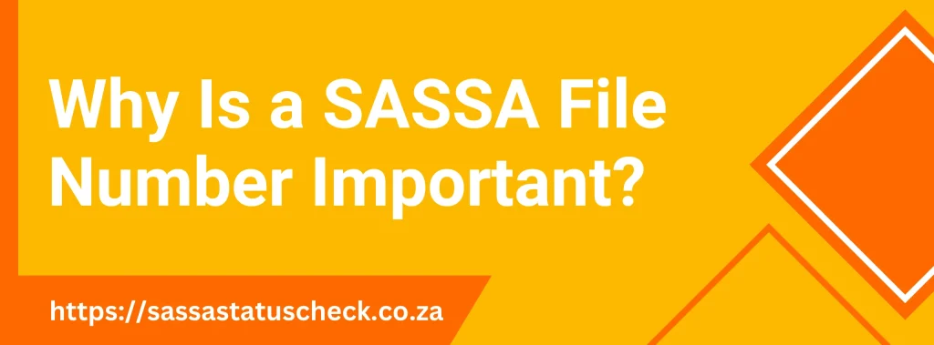 Why Is a SASSA File Number Important?